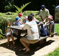 The Pines picnic area - Accommodation Melbourne