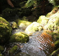 South East Forests National Park - Accommodation Melbourne
