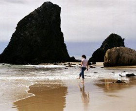 Glasshouse Rocks And Pillow Lava - Accommodation Melbourne 1