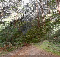 End Peak walking track - Accommodation Melbourne
