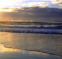 Handkerchief Beach Picnic Area - Accommodation Melbourne