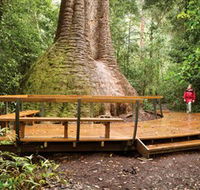 Burrawan State Forest - Accommodation Melbourne