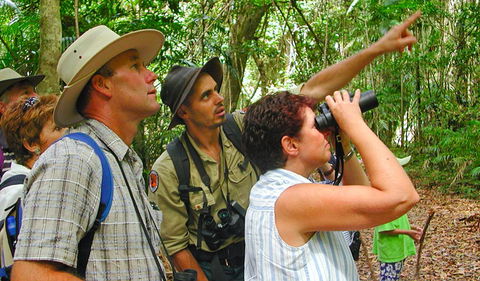 Falls Walking Track - Accommodation Melbourne 0