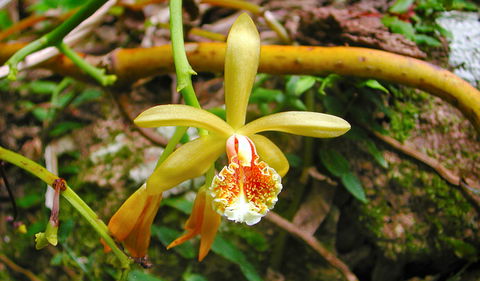 Falls Walking Track - Accommodation Melbourne 1