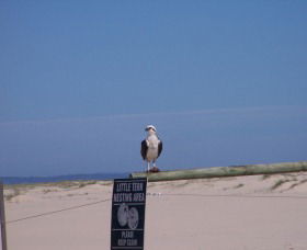 Manning Entrance State Park - Accommodation Melbourne 1