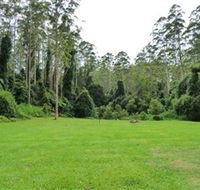 Kerewong State Forest - Accommodation Melbourne