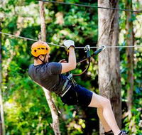 TreeTop Challenge Currumbin - Accommodation Melbourne