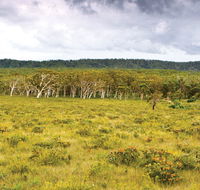 Yuraygir National Park - Accommodation Melbourne