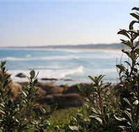 Cape Conran Nature Trail - Accommodation Melbourne