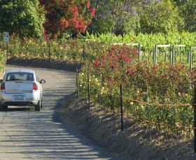 Cassegrain Wines - Accommodation Melbourne 0