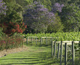 Cassegrain Wines - Accommodation Melbourne 1
