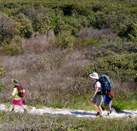 Yuraygir coastal walk - Accommodation Melbourne