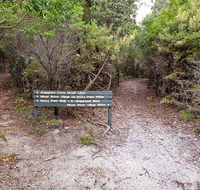 Angophora grove walking track - Accommodation Melbourne