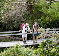 Wilsons Headland walking track - Accommodation Melbourne