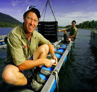 Armstrong Oysters - Accommodation Melbourne