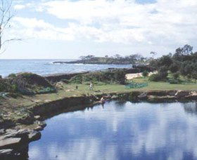 Angourie Blue Pool - Accommodation Melbourne 1