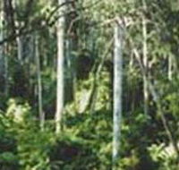 Lind National Park - Accommodation Melbourne