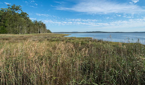 Lake Innes Nature Reserve - Accommodation Melbourne 3
