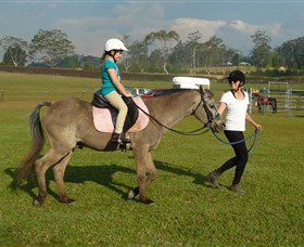 Port Macquarie Horse Riding Centre - Accommodation Melbourne 0