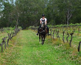 Port Macquarie Horse Riding Centre - Accommodation Melbourne 1