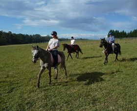 Port Macquarie Horse Riding Centre - Accommodation Melbourne 5