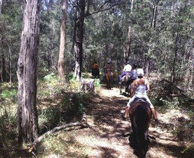 Port Macquarie Horse Riding Centre - Accommodation Melbourne 4