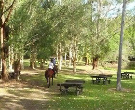 Port Macquarie Horse Riding Centre - Accommodation Melbourne 6