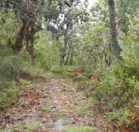 Kinchela Trig Lookout walk - Accommodation Melbourne