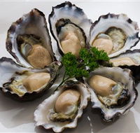 Tathra Oysters - Accommodation Melbourne