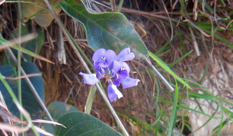 Broken Head Nature Reserve - Accommodation Melbourne 1