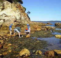 Sapphire Coast Marine Discovery Centre - Accommodation Melbourne