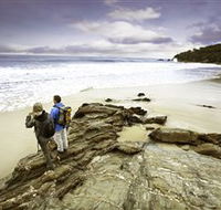 Wilderness Coast Walk - Accommodation Melbourne