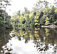 Arthur River - Accommodation Melbourne