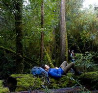 The Tarkine Drive - Accommodation Melbourne