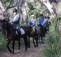 Mirravale Horse Riding School - Accommodation Melbourne