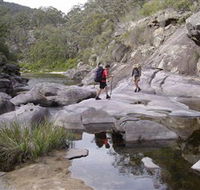 Nadgee Wilderness Walk - Accommodation Melbourne