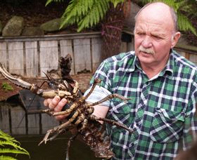 Lobster Ponds - Accommodation Melbourne 0