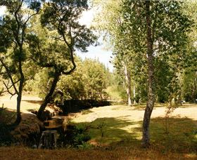 Oldina Picnic Area - Accommodation Melbourne 0