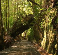 Philosopher Falls - Accommodation Melbourne