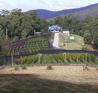 Motton Terraces - Accommodation Melbourne