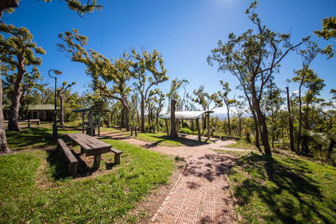 Rockhampton To Carnarvon Gorge Four Night Drive - Accommodation Melbourne 1