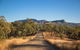 Rockhampton To Carnarvon Gorge Four Night Drive - thumb 9