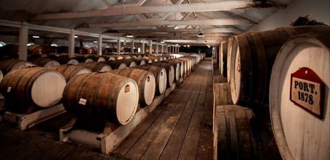 Seppeltsfield Winery Tours - Accommodation Melbourne 4
