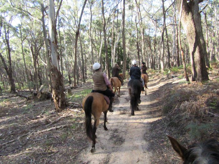 Spring Hill VIC Accommodation Melbourne