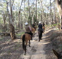 Silver Brumby Trails - Accommodation Melbourne