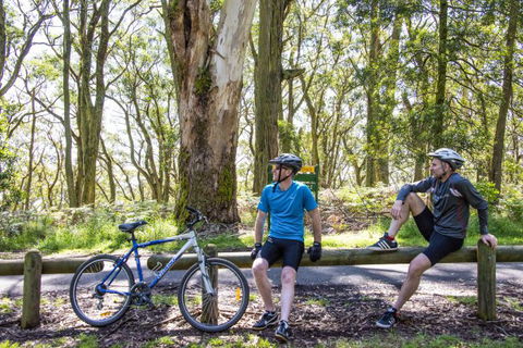 Fit Tours - Accommodation Melbourne 8