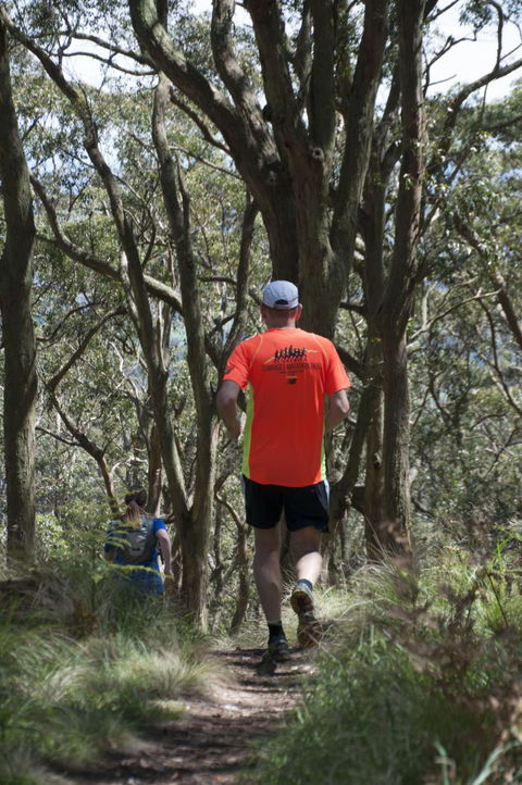 Fit Tours - Accommodation Melbourne 13