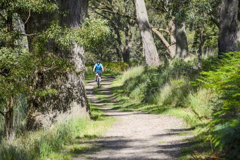 Fit Tours - Accommodation Melbourne 16
