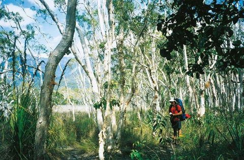 Thorsborne Trail, Hinchinbrook Island National Park - Accommodation Melbourne 0