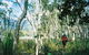 Thorsborne Trail, Hinchinbrook Island National Park - thumb 2